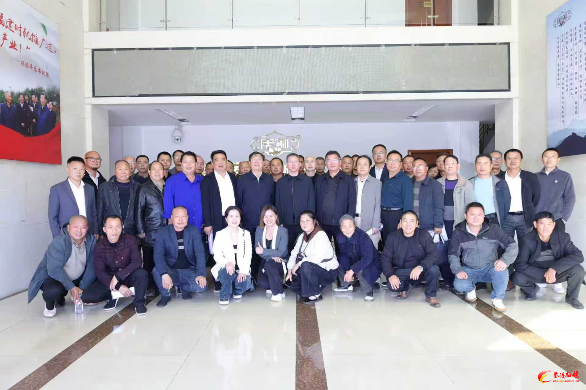 专家下沉“把脉” 护航油茶产业健康发展