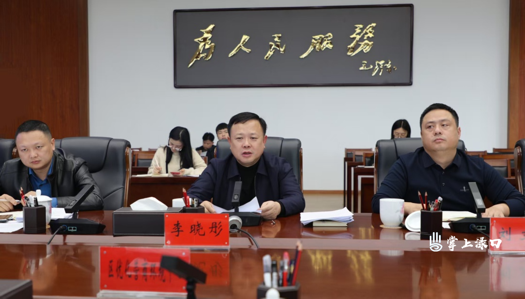 2025年全区优化营商环境工作会议召开