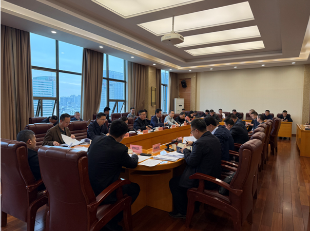 株洲市召开自然资源督察反馈问题整改工作推进会