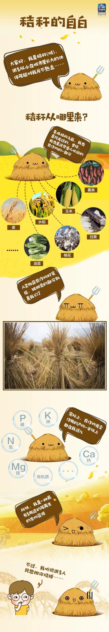 自觉做好秸秆禁烧 共同守护蓝天净土