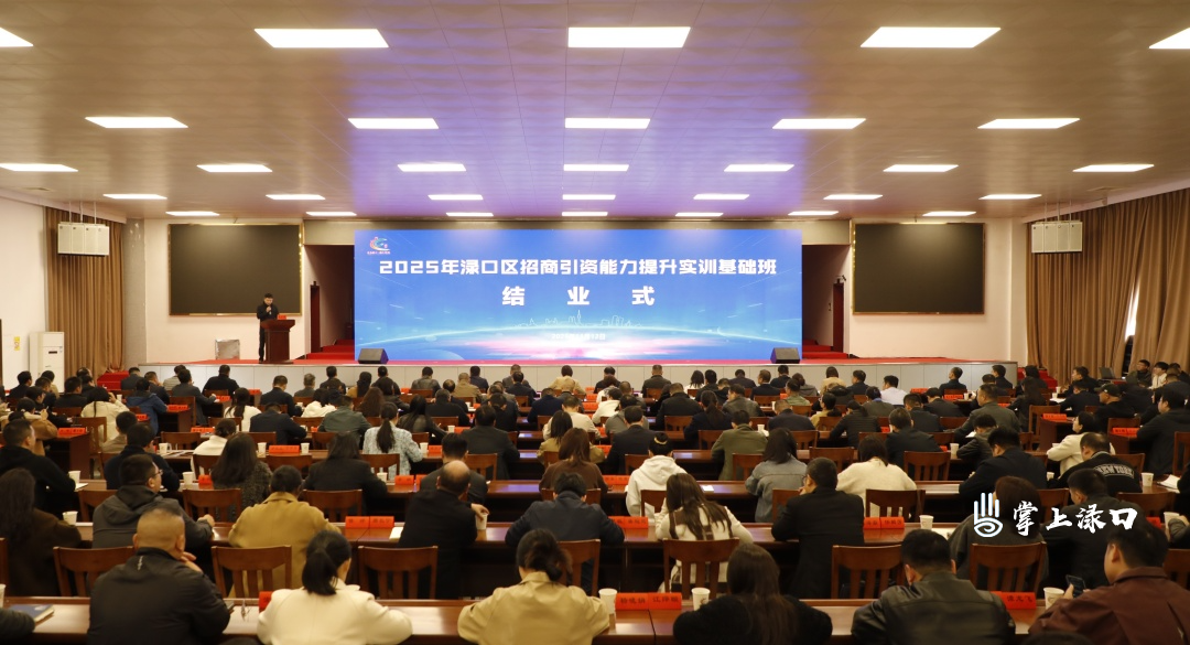 渌口区招商引资能力提升实训基础班圆满结业 为高质量发展注入新动能