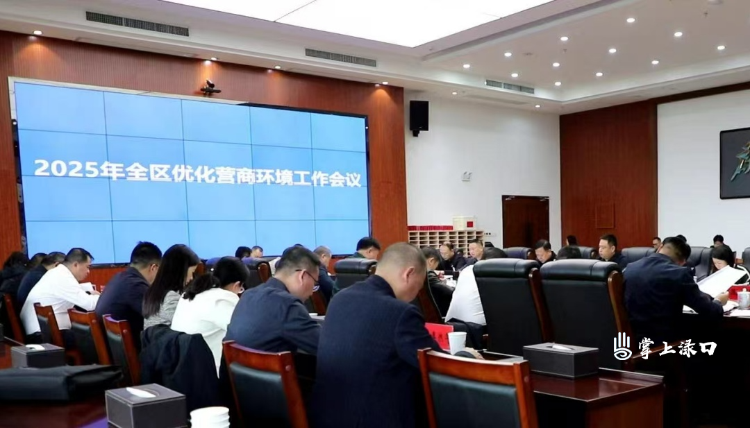 2025年全区优化营商环境工作会议召开