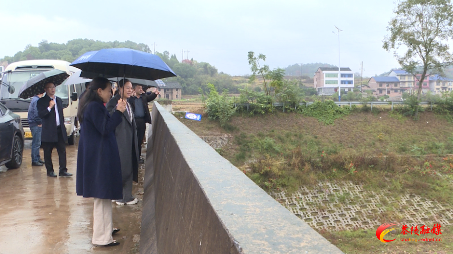 县人大开展2025年民生票决实事暨重点代表建议督办