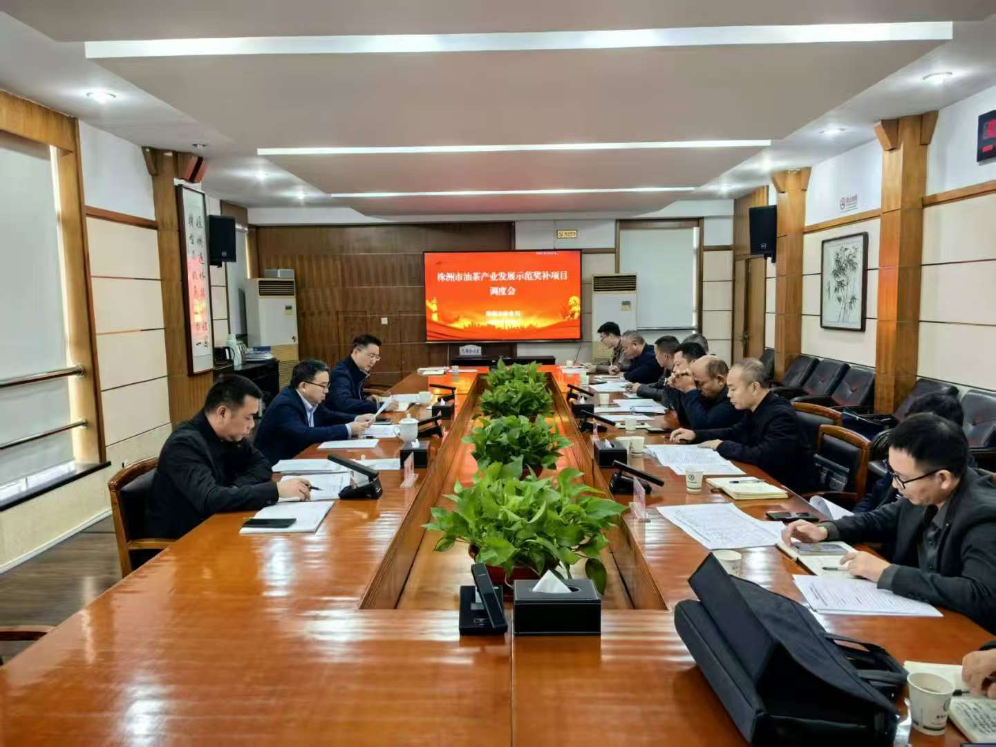 市林业局调度中央财政油茶产业发展示范奖补项目工作