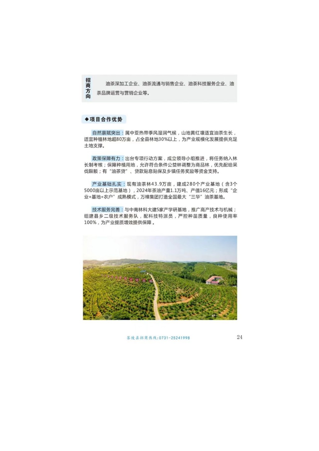 投资茶陵--招商项目推介