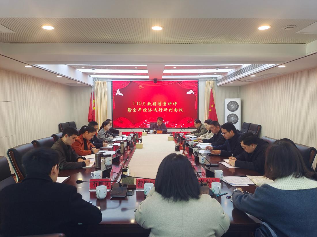 聚焦数据质量，筑牢统计根基—市统计局召开1-10月数据质量讲评暨全年经济运行研判会议