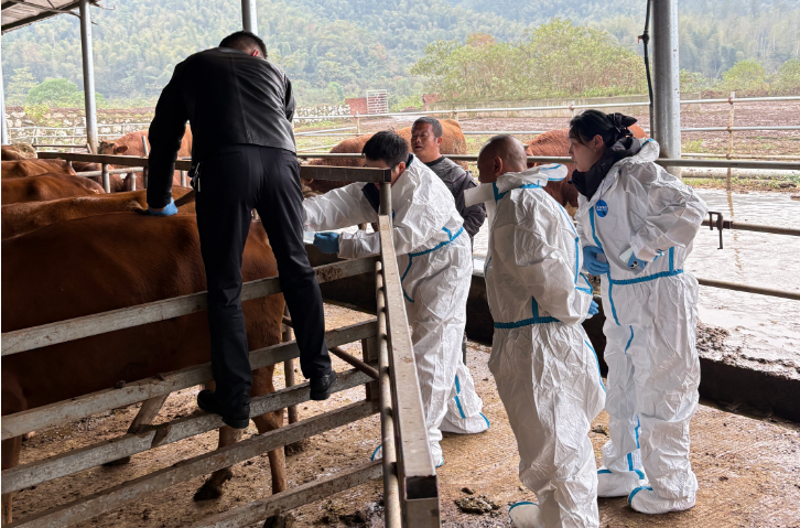 湖南省农业农村厅深入攸县督查指导秋季动物防疫工作