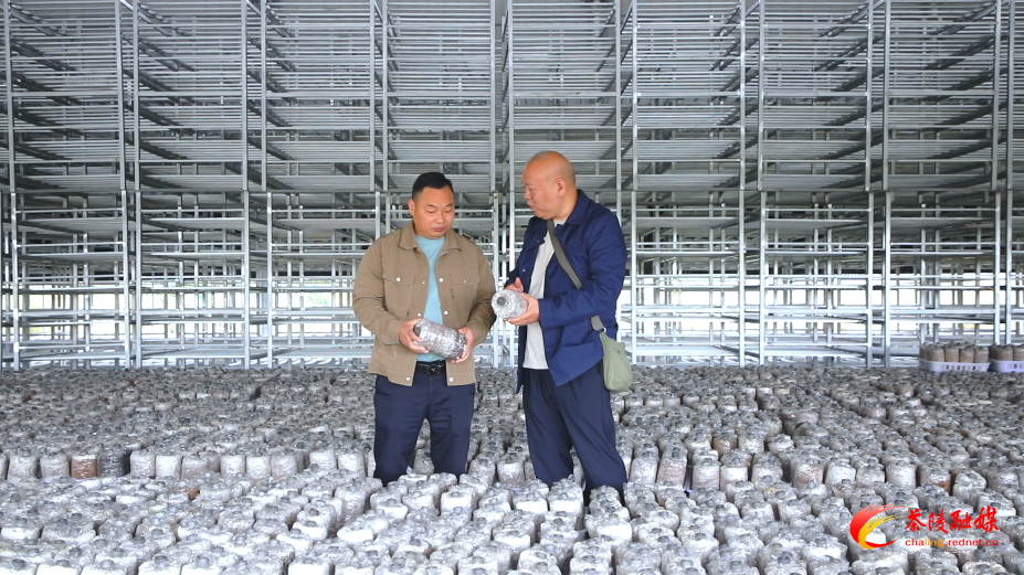 思聪街道三华村：工作队接力深耕绘就乡村振兴“蝶变”