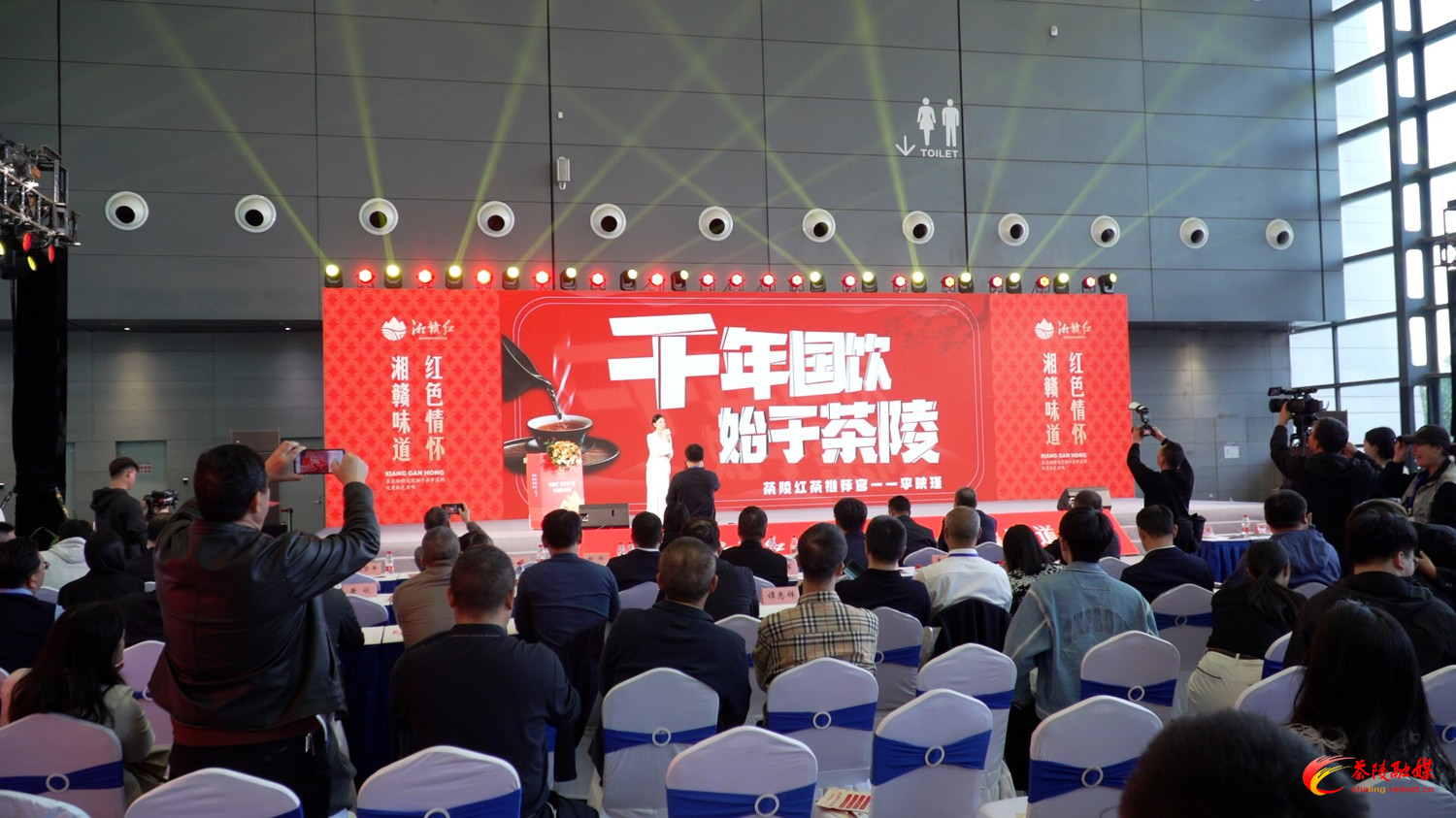 【画卷•乡村振兴】农博“镀金” 产业“造血” 茶陵特色农产品撑起乡村振兴“致富伞”