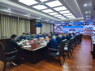 株洲市召开废弃矿洞排查封堵整治和严厉打击盗采盗挖行为、小型餐饮场所消防安全整治工作视频部署会