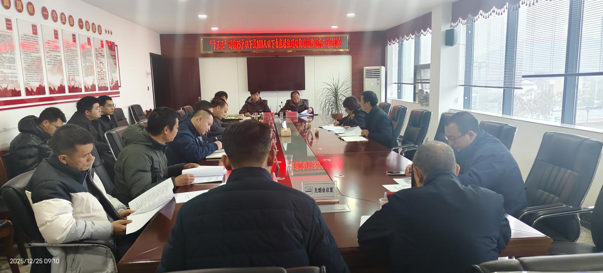 炎陵县召开“十五五”自然村组通硬化路现状摸底工作培训会