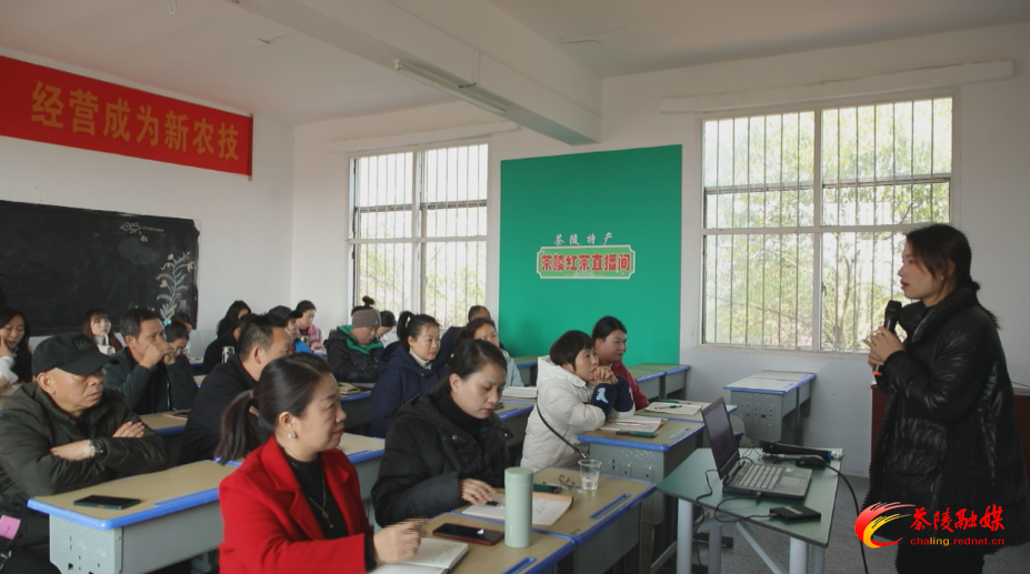“主播课堂”进茶陵 培育本土电商新农人