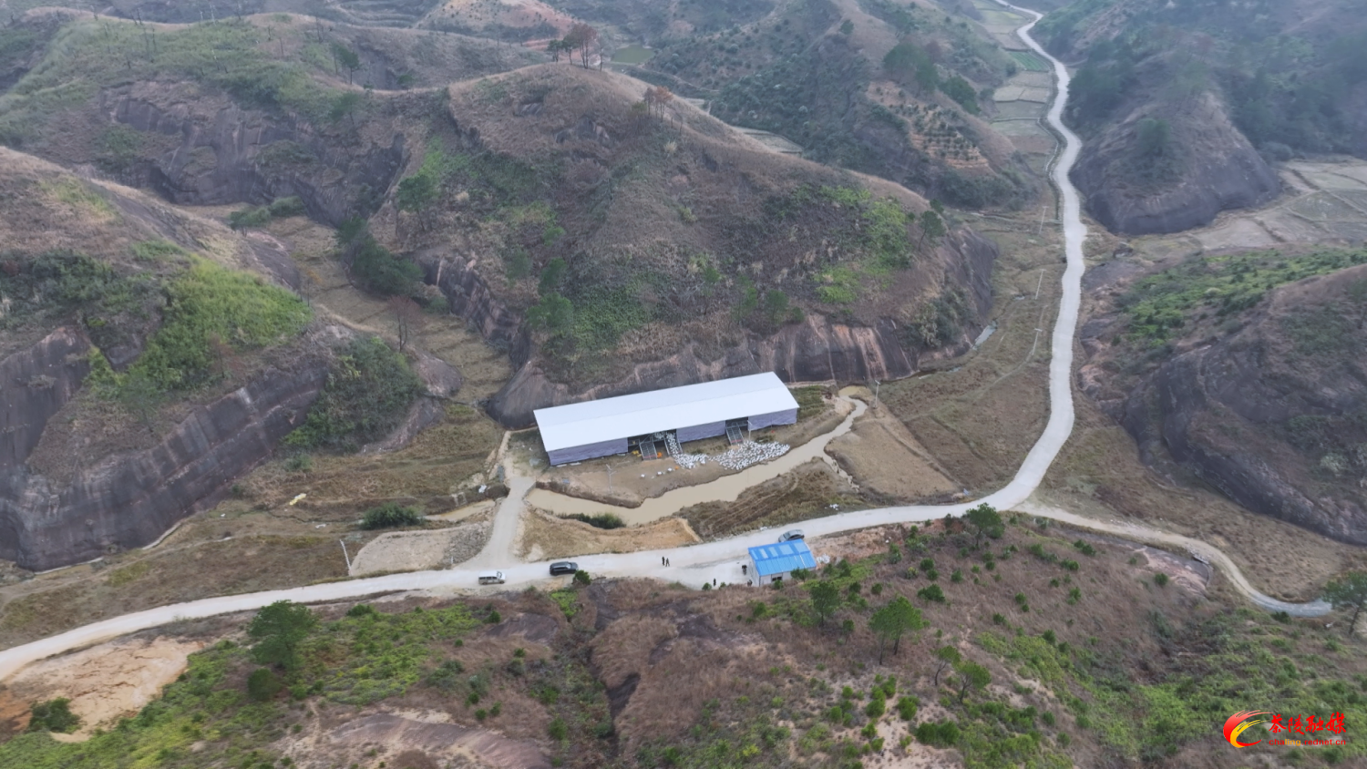 【画卷·乡村振兴】茶陵：以“订单农业”为抓手 推动乡村产业多元发展