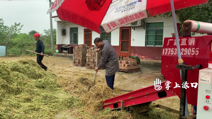 从“田间负担”到“绿色财富” 渌口区探索秸秆综合利用新路径