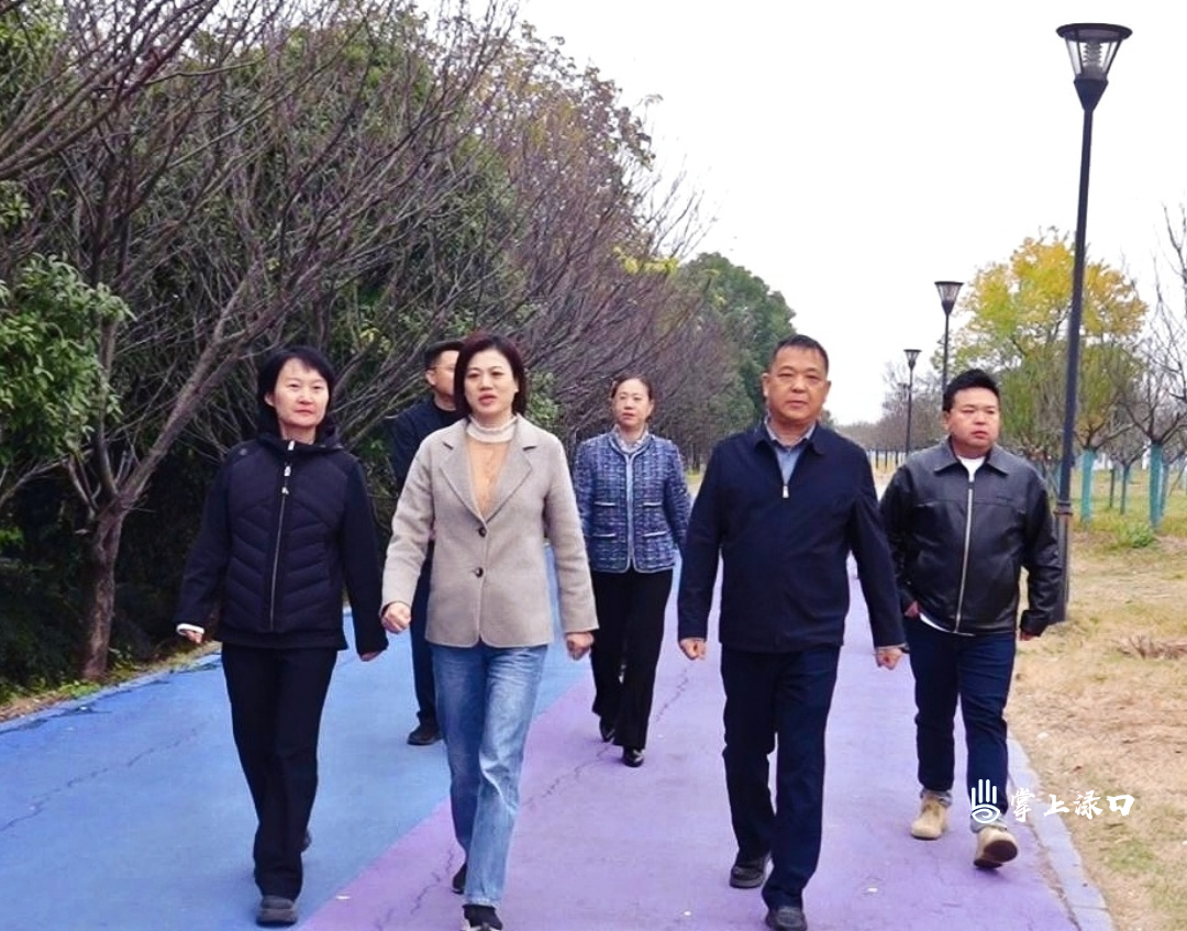 赖晓智参加南洲镇区人大代表小组调研活动