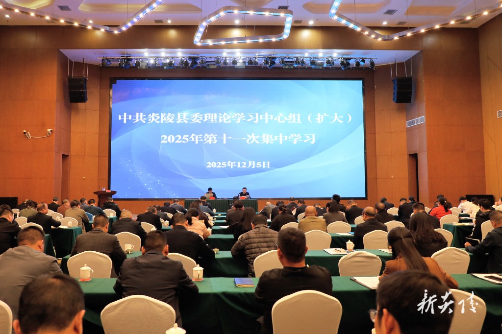 县委理论学习中心组（扩大）举行2025年第十一次集中学习