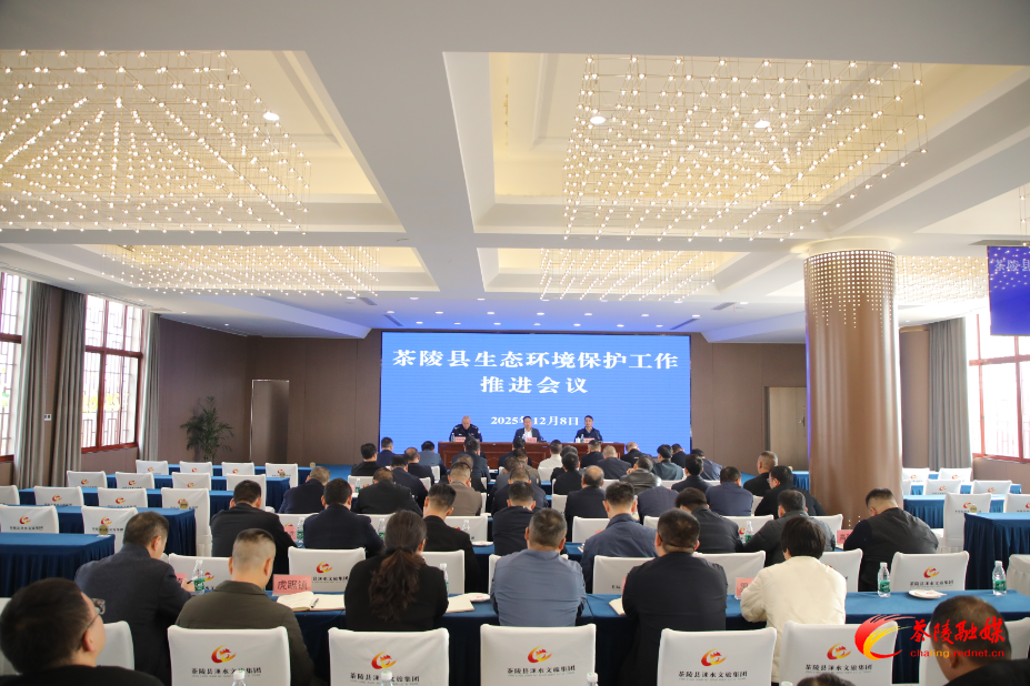 茶陵县召开安全生产和消防工作暨生态环境保护工作推进会