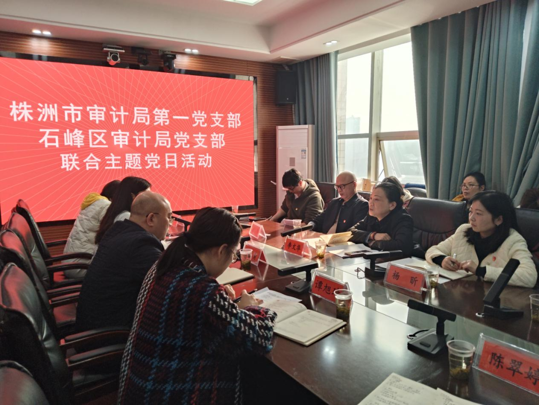 市审计局第一党支部开展领导带支部联基层活动