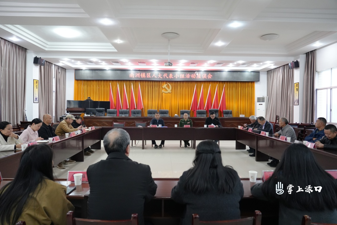 赖晓智参加南洲镇区人大代表小组调研活动