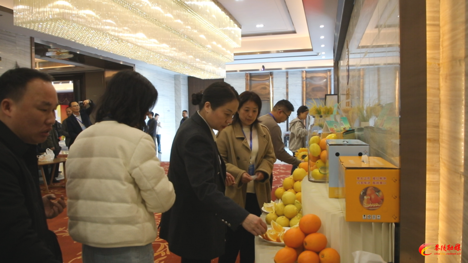 湘赣合作添“香”气 百余种特色农产品在茶陵推进会现场集中亮相