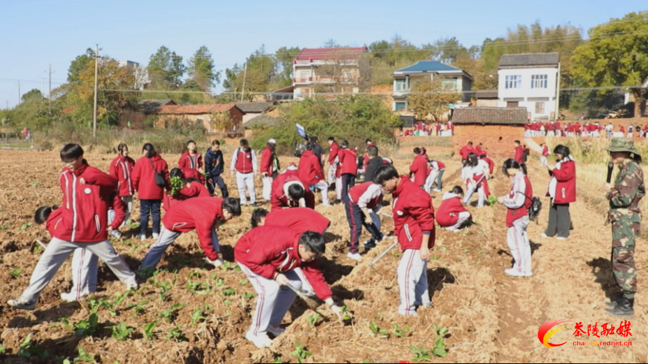 株洲市南方中学研学团走进茶陵 沉浸式体验劳动之美