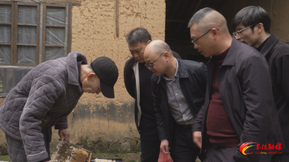 【画卷•乡村振兴】 蜂蜜丰产愁销路 上下齐心解民忧