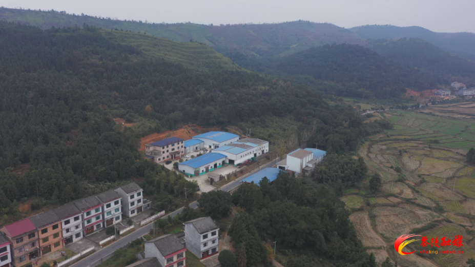 【画卷•乡村振兴】严塘镇玳溪村：产业兴村添动能 激发乡村振兴“一池春水”