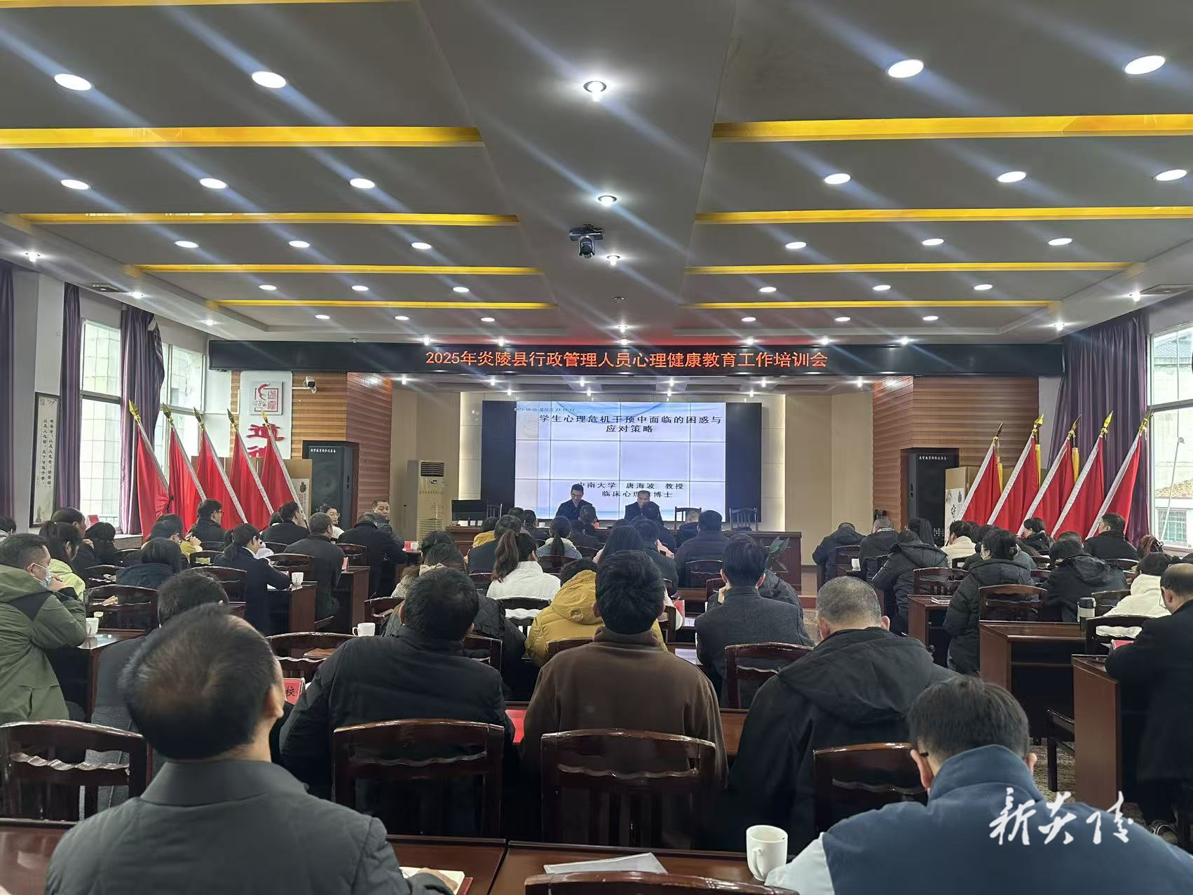县教育局开展2025年心理健康教育工作培训