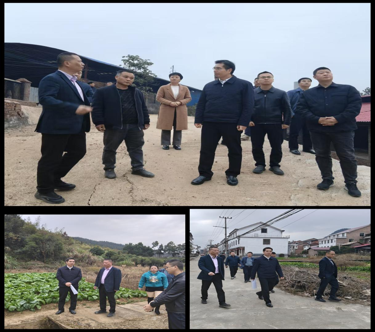 履职尽责实地调研县长武挪强带队督导生态环境保护工作