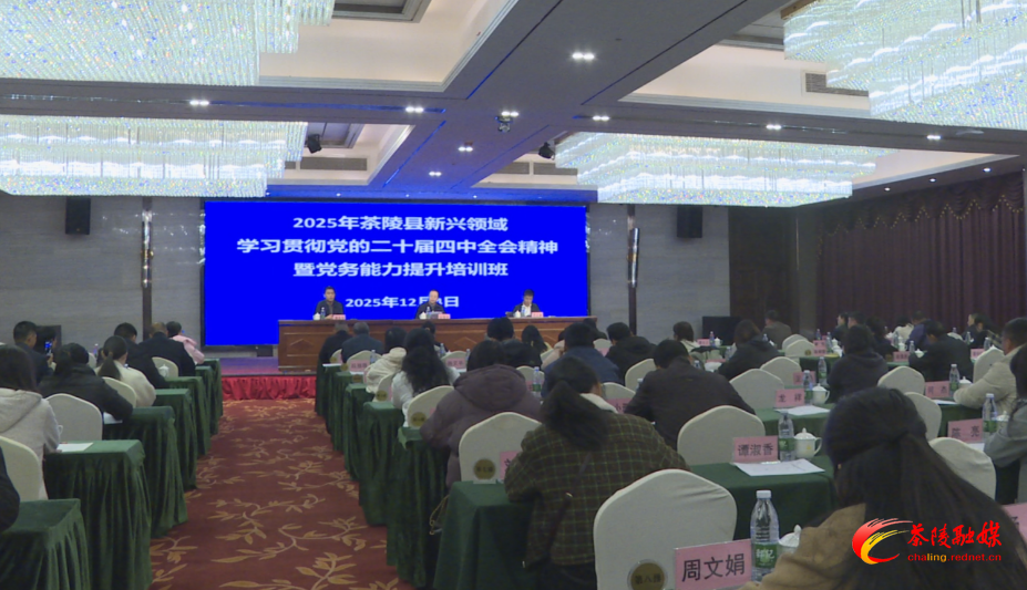 茶陵县举办新兴领域党务能力提升培训班 为产业发展注入“红色动能”