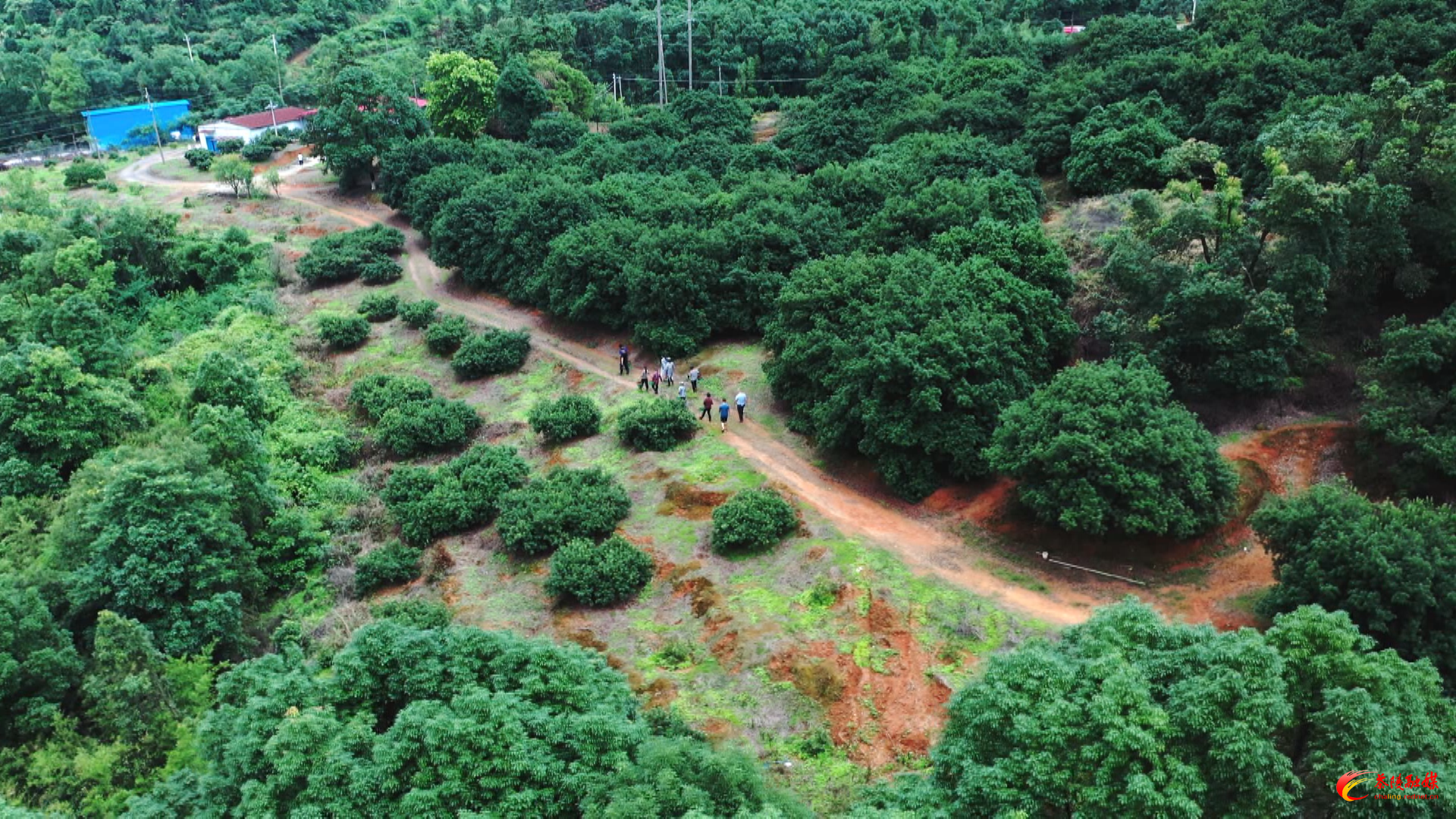 茶陵4个项目点亮湖南乡村旅游地图