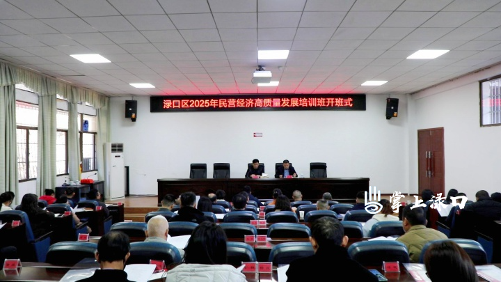 渌口区2025年民营经济高质量发展培训班正式开班