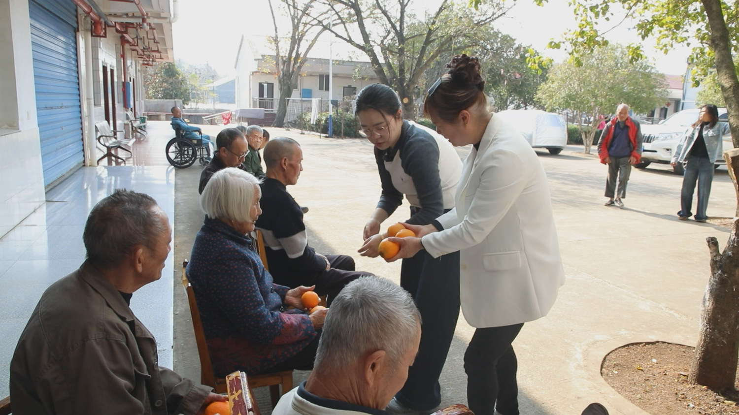 柑橘丰收季 爱心暖夕阳