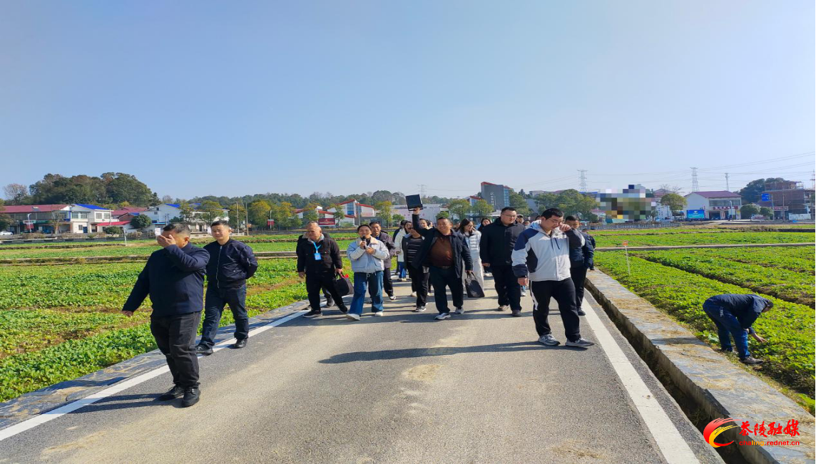 以技赋能促振兴 茶陵县基层农技人员能力提升培训班收官