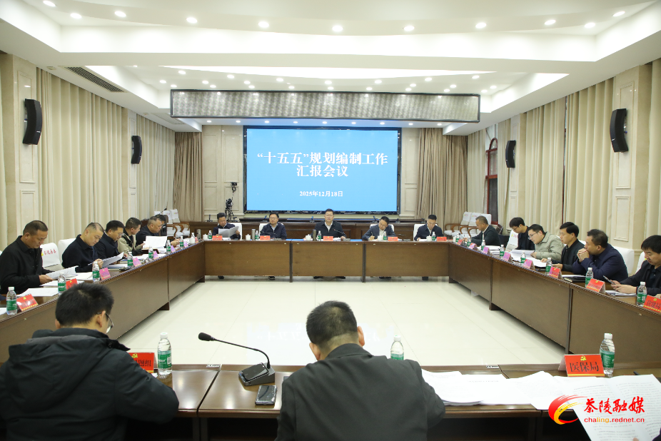 杨红兵主持召开“十五五”规划编制汇报会 强调：要高站位、高定位、高质量做好规划编制工作