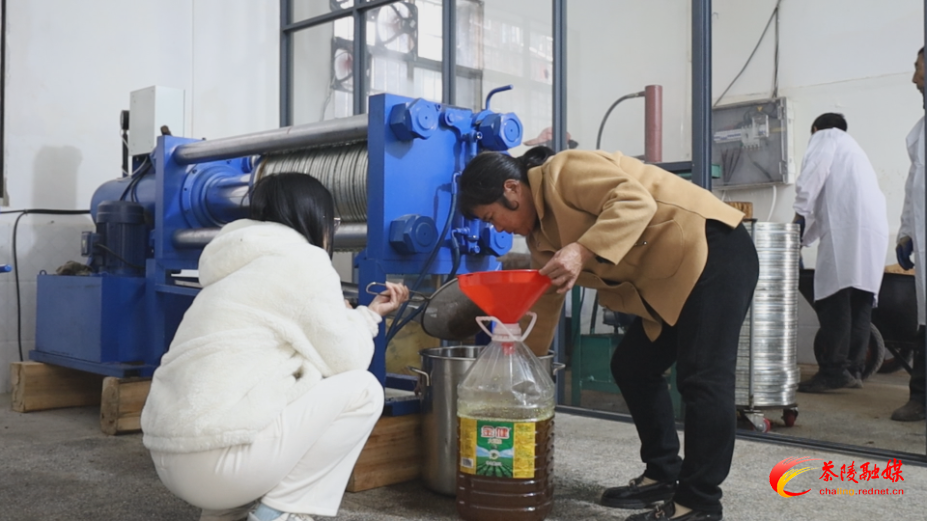 【画卷•乡村振兴】严塘镇玳溪村：产业兴村添动能 激发乡村振兴“一池春水”