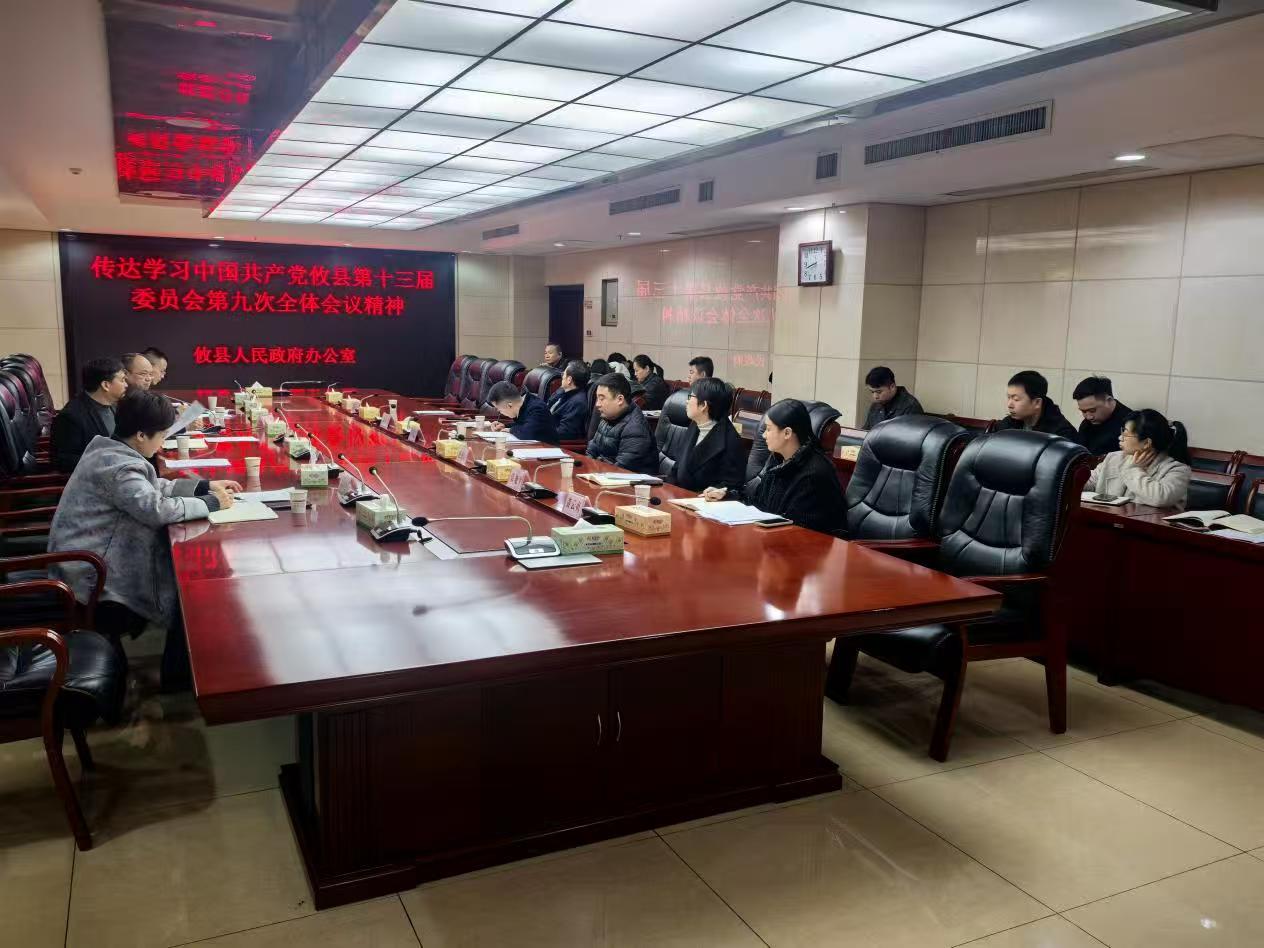 攸县人民政府办公室传达学习县委十三届九次全会精神