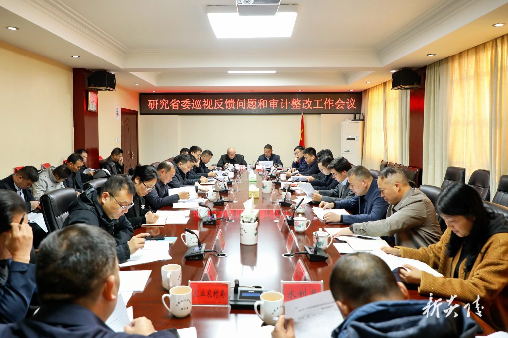 夏胜利主持召开省委巡视和省审计反馈问题整改工作会议