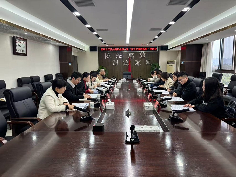 省审计厅财政审计二处到株洲市芦淞区审计局开展“结对联点”活动