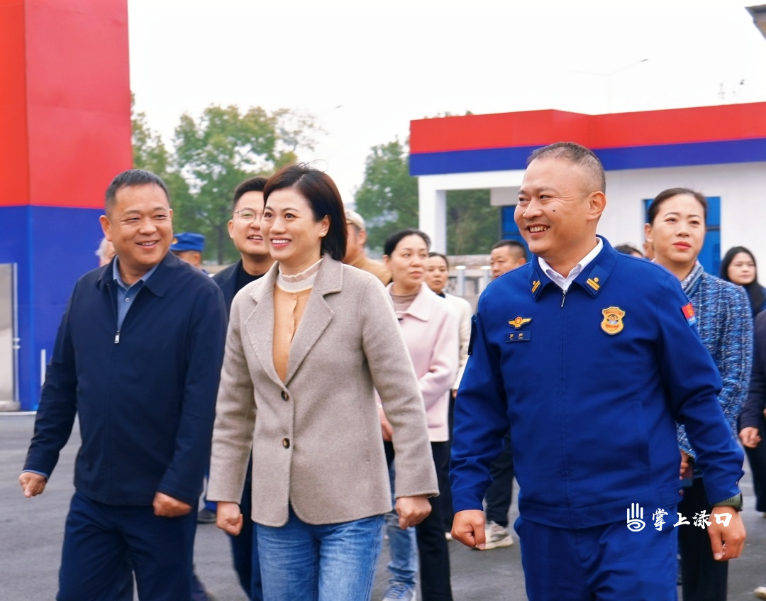 赖晓智参加南洲镇区人大代表小组调研活动