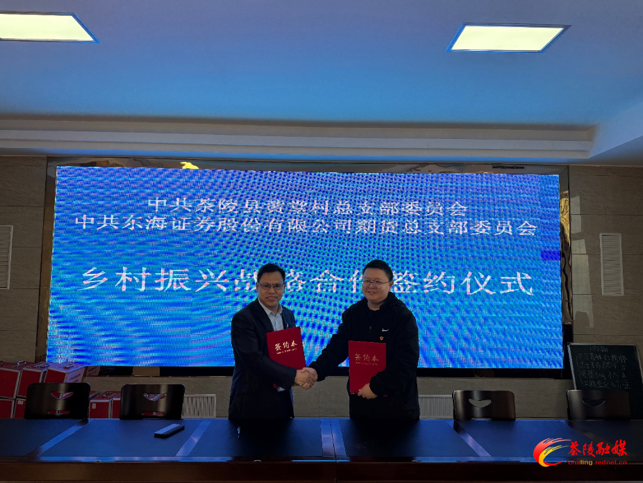 党建引领促振兴 茶陵下东街道携手东海期货绘新篇