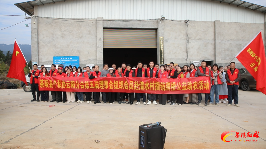 “橙”意满满 茶陵县个私协会云阳分会助力果农销售脐橙