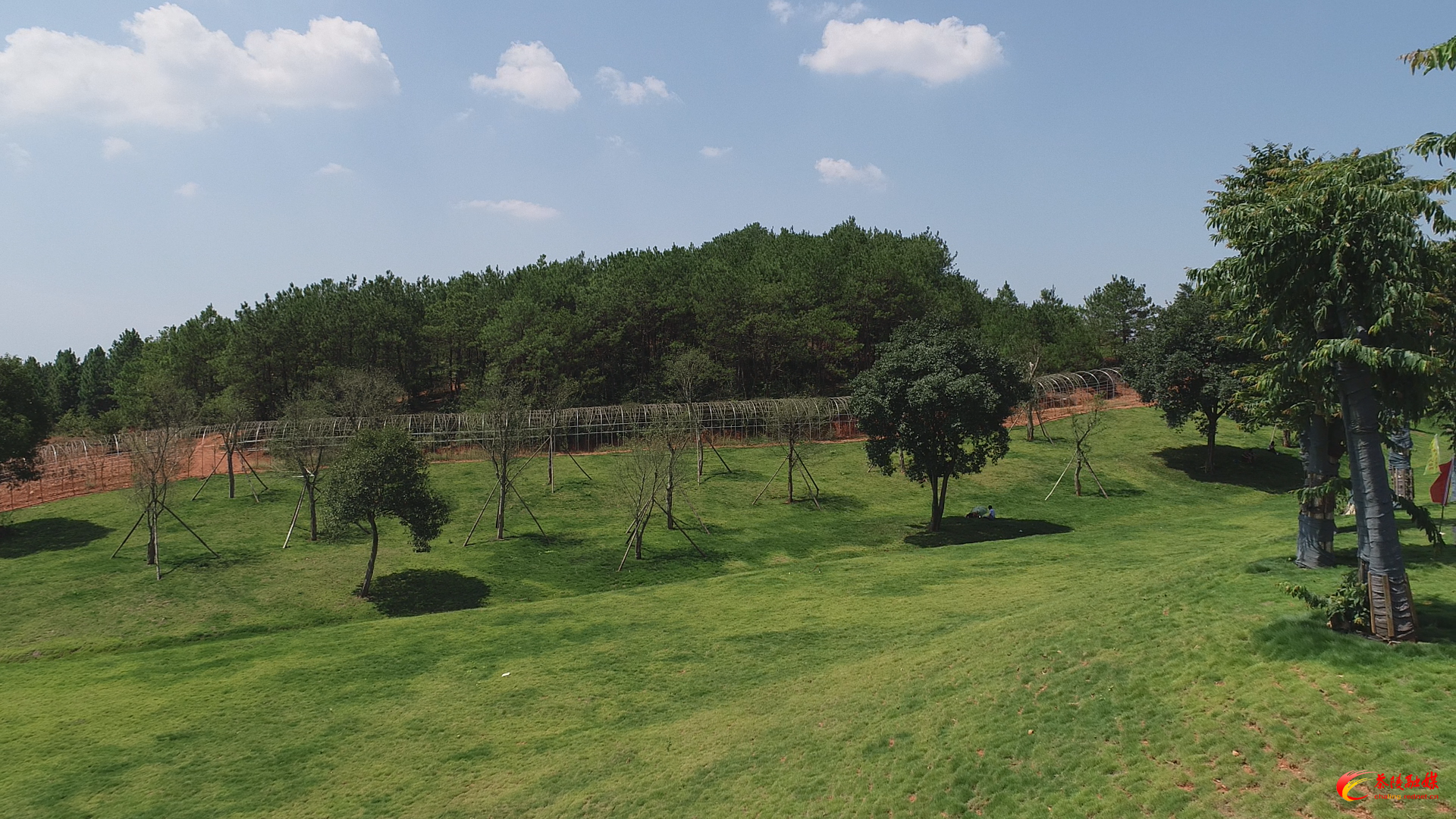 茶陵4个项目点亮湖南乡村旅游地图