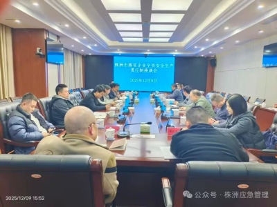 株洲市召开企业全员安全生产责任制座谈会