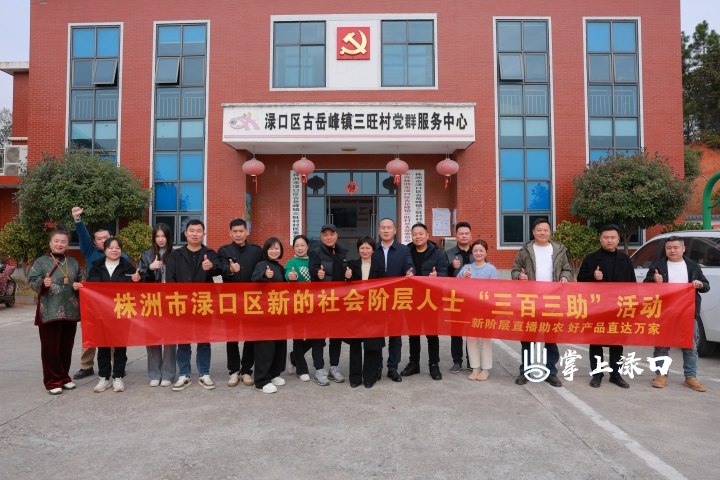 渌口区新的社会阶层人士赴古岳峰镇开展 “三百三助” 活动