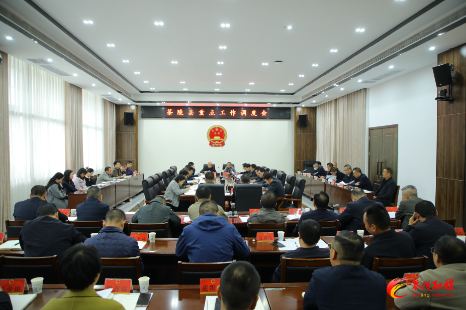 杨红兵：齐心协力抓实各项任务 确保今年工作圆满收官