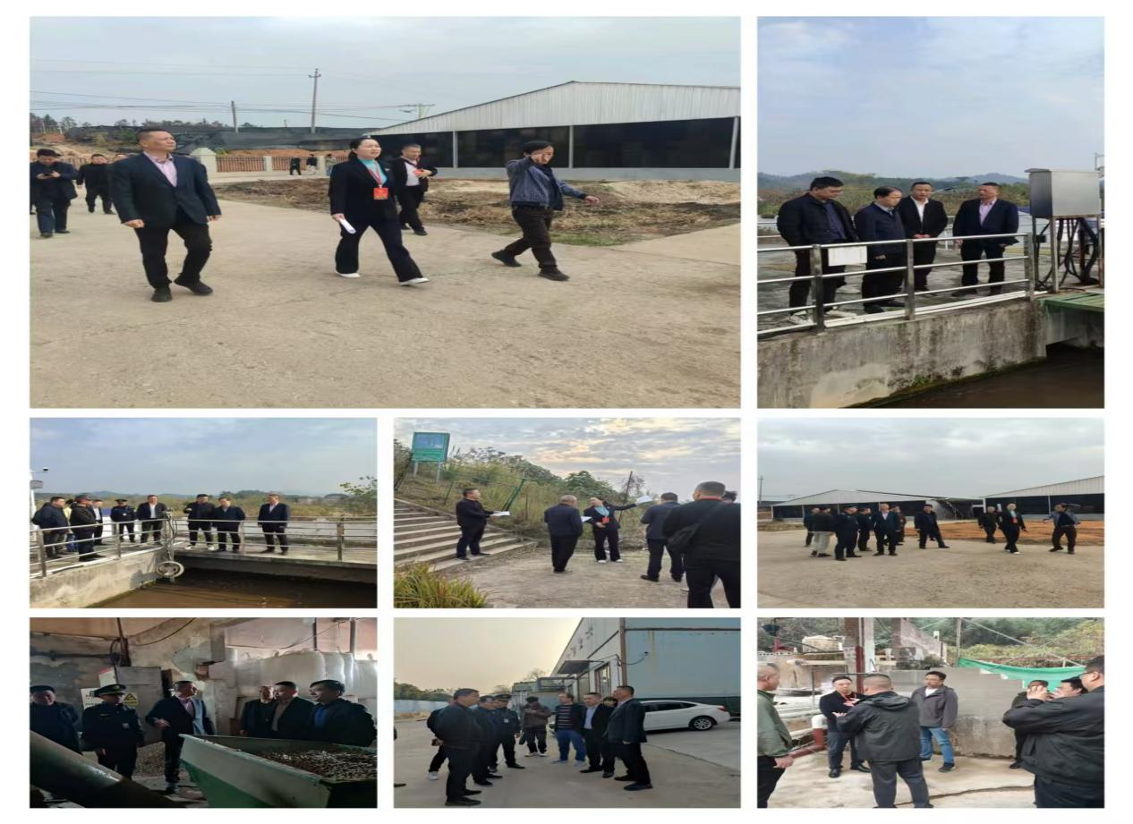 攸县人大开展大气污染防治专项检查