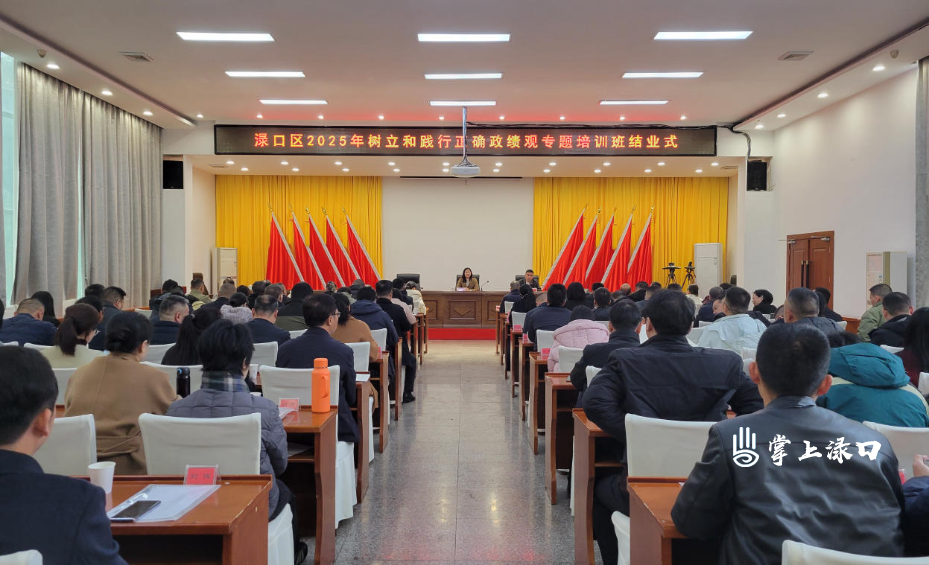渌口区2025年树立和践行正确政绩观专题培训班圆满结业