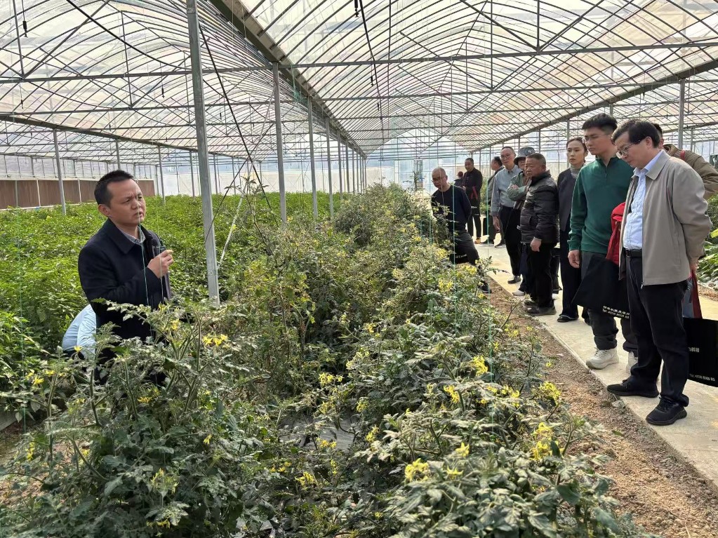 株洲市积极参加湖南省果蔬设施种植技术培训暨农机推广工作座谈