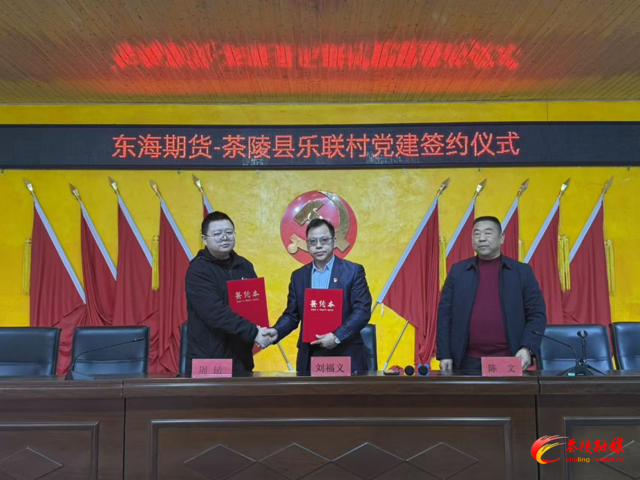 党建引领促振兴 茶陵下东街道携手东海期货绘新篇